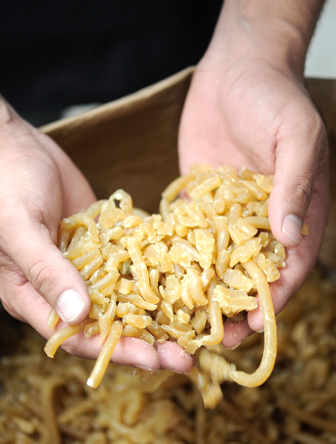 TEMPLATE---1410x1862-HOMME-BONDILLON